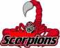 SCORPIONS IMOBILIARE